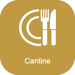 acces - cantine