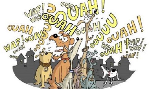 image_1567537_20220729_ob_53f811_aboiement-chiens